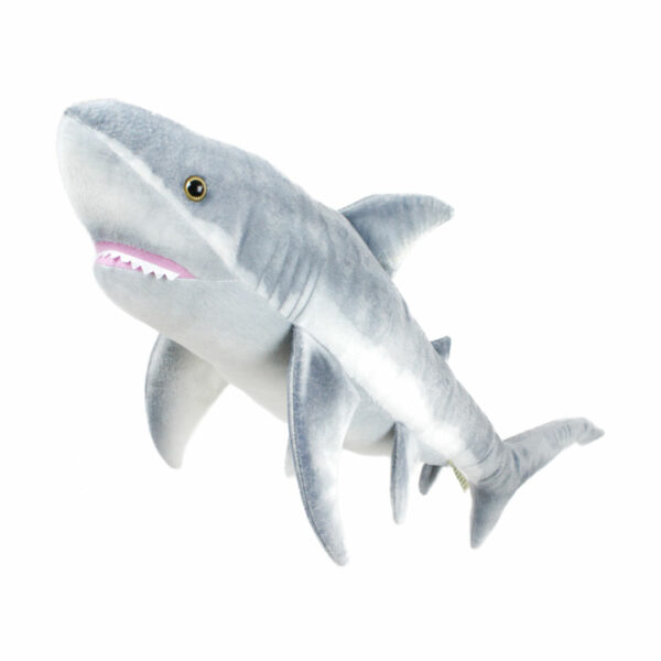 shark toy