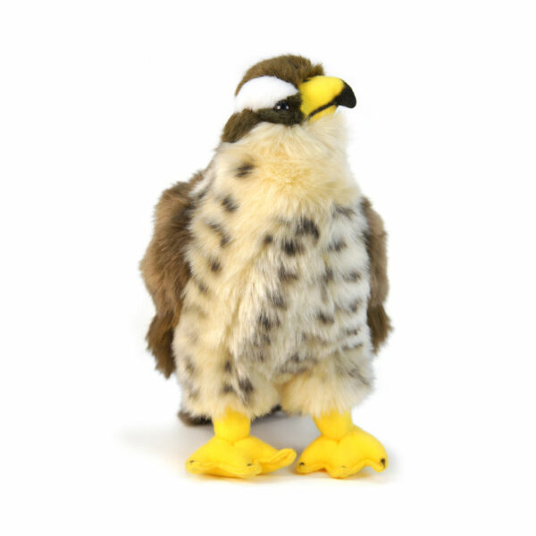 Bird Plush Toy