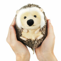 Hedgehog toy