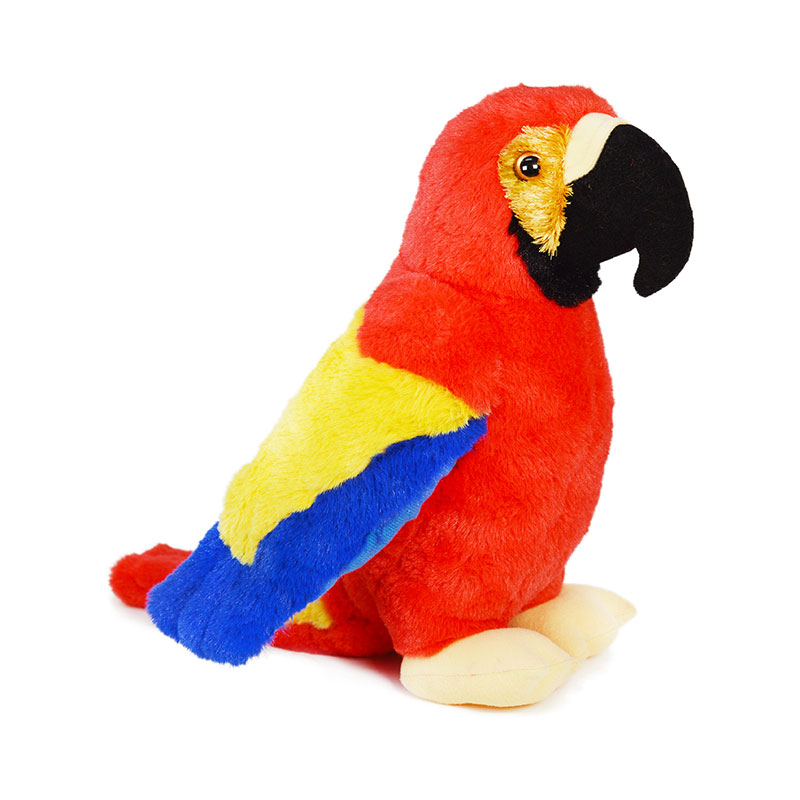 Parrot toy